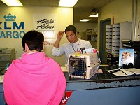 Leslie picks Mowgli up at the Alaska Airlines cargo office at San Francisco International Airport.  