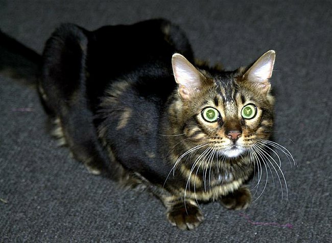 2004-12-30_010 crop.jpg