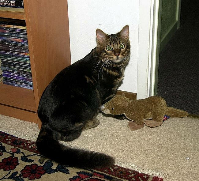 2004-12-30_014 crop.jpg