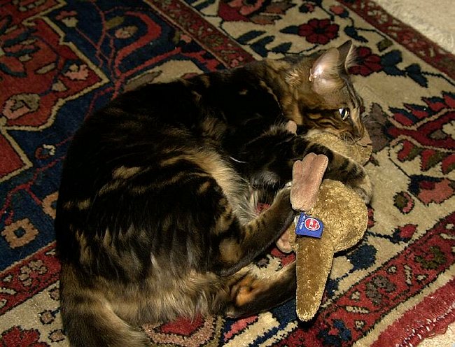 2004-12-30_016 crop.jpg