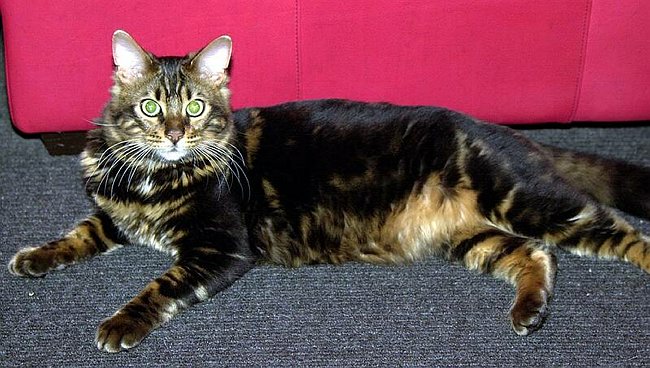 2004-12-30_022 crop.jpg