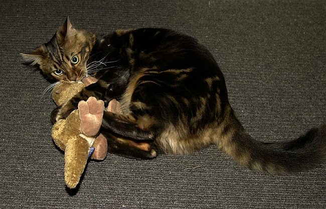 2004-12-30_025 crop.jpg