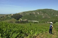 Leslie looks out to the ocean (upper left).  Note Stage Road, which provides access to the property.  