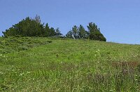 The main house, seen at the top of this hill, viewed from the tracked we walked below.  