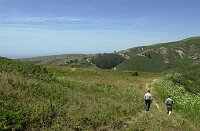 Pete (our agent) and Patrick (the listing agent) walking the track behind the barn.  Note the ocean view in the upper left.  