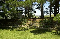 The small backyard area straight through the entry foyer.  Note the nice black dog in the center, and the small outbuildings, one of which is his dog house.  <br><br>The tall stand of trees, which spans the rear of the house, is to provide a privacy screen to avoid interrupting the views of people behind and above the house.  Since the house is built on top of the ridge line (which is no longer permitted by the county), the trees minimize the impact on others' views.  