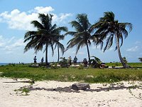 A &quotcrowd&quot showed up to cook lunch on this Silk Caye.  