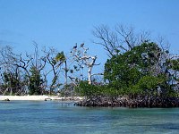 This caye was severely damaged in the hurricane last year (2002).  