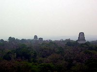 A view looking out from the top of one of the larger pyramids, seeing other tall pyramids of the Tikal complex rising out of the jungle.  This sort of view originally led archaeologists to explore the site.  