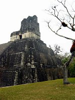 Pyramid at Tikal.  