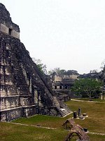 Tall pyramid at Tikal, with palace complex in the background.  