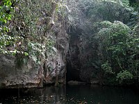 Entrance to the cave.  Note some of the very long roots hanging down into the water from the mangrove trees high above the cave.  